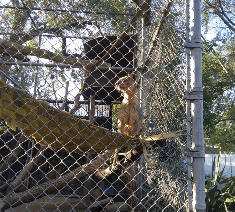 Micke Grove Zoo (Lodi,&nbspCA)